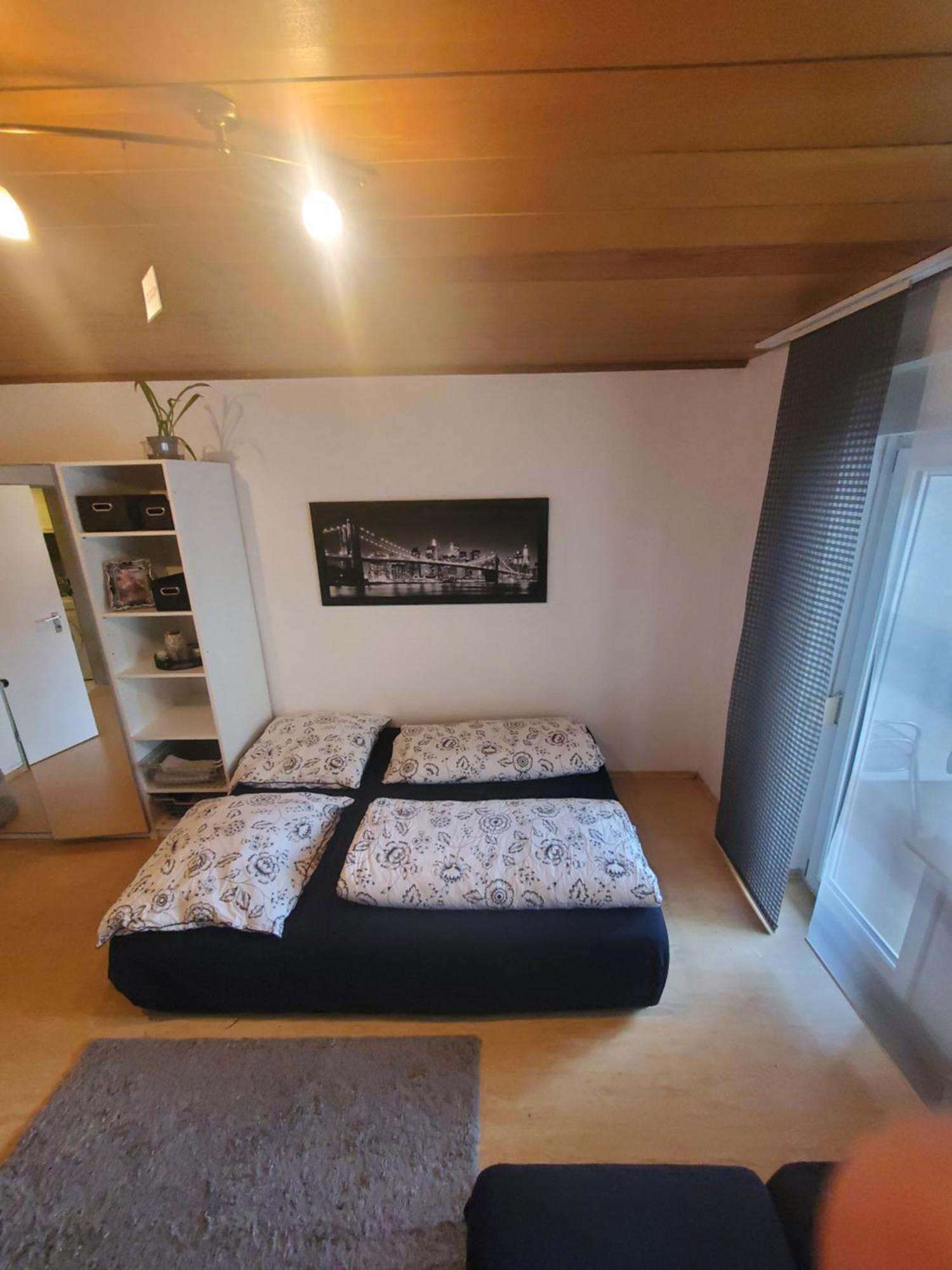 Einzimmerwohnungmit Grossem Balkon Mietersheim Ngoại thất bức ảnh
